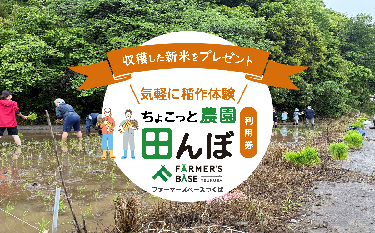 気軽に稲作体験 新米プレゼント付き「ちょこっと農園 田んぼ」利用券／FARMER’S BASE TSUKUBA （ ファーマーズベースつくば ）