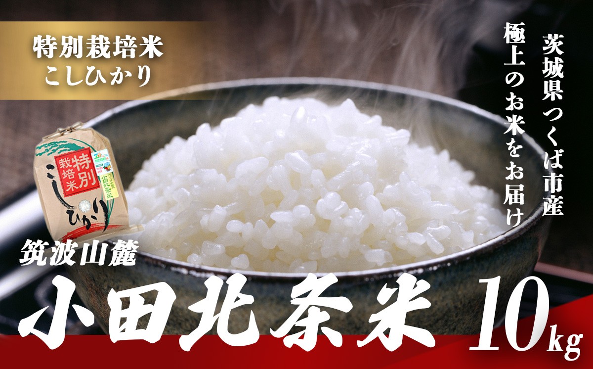 令和7年産 特別栽培米 コシヒカリ 小田北条米 10kg