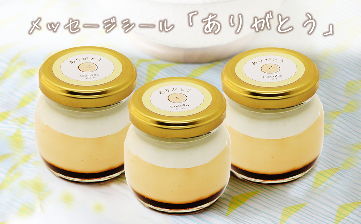 CocoRoプリン 3個セット（ ギフト包装 ＋ メッセージシール「ありがとう」 ）【 茨城県 つくば市 プリン スイーツ 生クリーム カスタードクリーム バニラ 牛乳 卵 国産 甘味 お菓子 デザート ギフト 8000 】