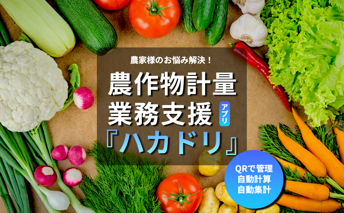 計量業務支援アプリ「ハカドリ」【 アプリ 農業 農業支援 野菜 業務効率化 農作物 農家 生産者 茨城県 つくば市 】