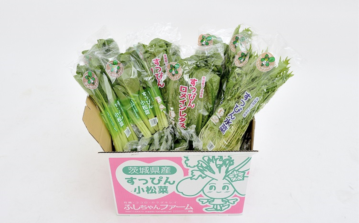 【 3ヵ月定期便 】すっぴん有機やさいセット ( 小松菜 ・ 水菜 ・ ロメインレタス )【 茨城県 つくば市 定期 定期便 小松菜 ロメインレタス 水菜 鍋 鍋もの 野菜 やさい ベジタブル 有機野菜 有機栽培 無農薬 有機農業 オーガニック 自然 希少 3回 詰め合わせ 】