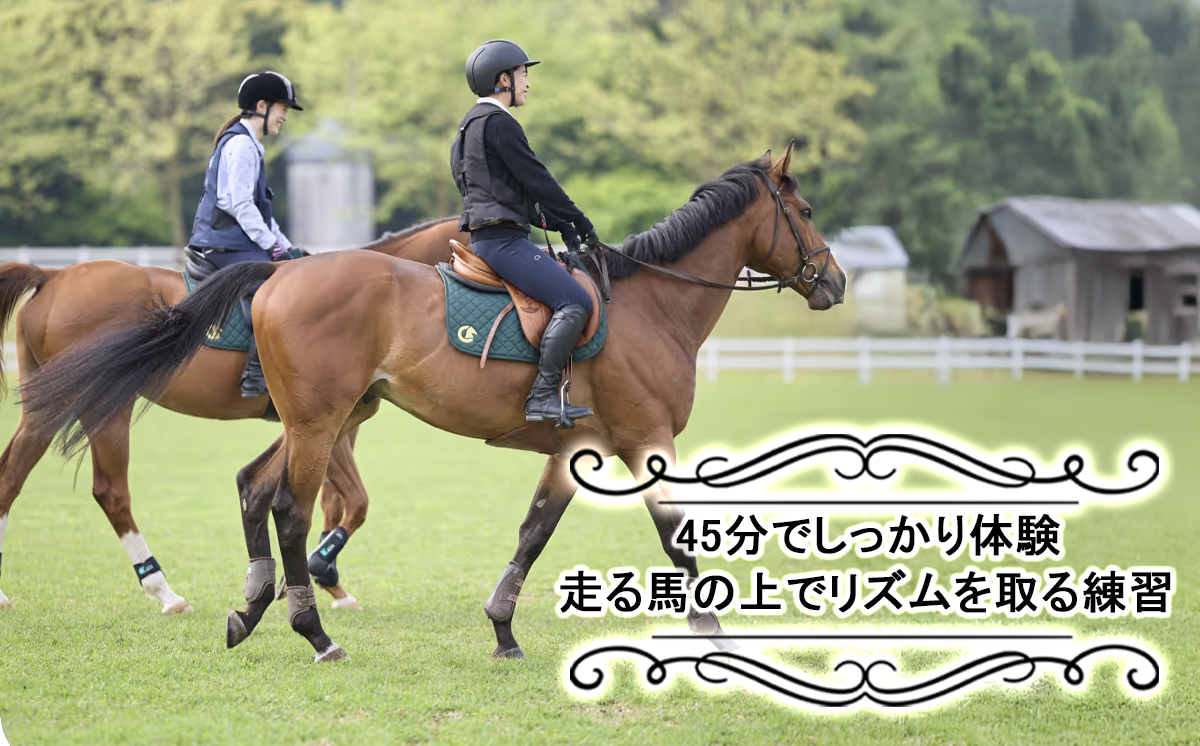 乗馬クラブクレイン茨城　【45分しっかり】乗馬体験チケット【 乗馬 乗馬クラブ 体験チケット 乗馬体験 子ども 子供 キッズ 家族 ファミリー クレイン 夏休み 休日 GW 茨城県 つくば市 】