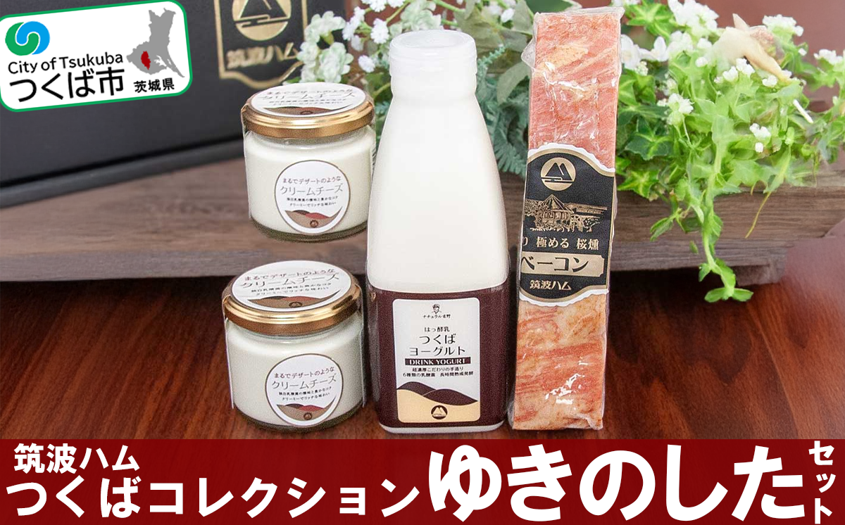 筑波ハム つくばコレクション ゆきのしたセット（ ベーコン つくばヨーグルト クリームチーズ ）【 豚肉 豚 ぶた肉 ポーク ベーコン 燻製 金賞 チーズ クリームチーズ ヨーグルト 茨城県産 国産 つくば市 詰め合わせ お中元 お歳暮 】