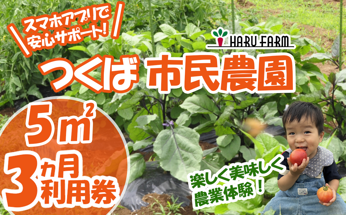 【専用スマホアプリがサポート！】ハルファームの市民農園利用券　(5㎡ 1年分) 【 茨城県 つくば市 農園 貸農園 貸し農園 農業体験 農業 野菜収穫 体験 野菜体験 チケット 旬野菜 採れたて野菜 】