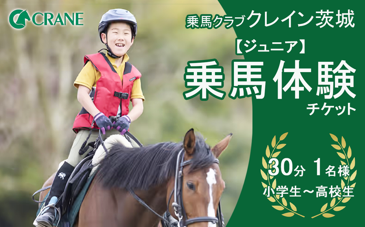 乗馬クラブクレイン茨城　【ジュニア】乗馬体験チケット【 乗馬 乗馬クラブ 体験チケット 乗馬体験 ペア カップル 子ども 子供 キッズ 小学生 家族 ファミリー クレイン 夏休み 休日 GW 茨城県 つくば市 】