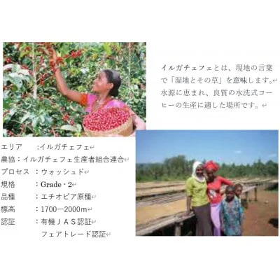 ïŒã®ãä»ãïŒã€ãã°ã§çç
ã³ãŒããŒè± ãšããªã㢠ã€ã«ã¬ãã§ãã§ 200gÃ2çš® é£²ã¿æ¯ã¹ 猶å
¥ãã ã³ãŒããŒ è± ãã¬ã³ã ãªãªãžãã« çŽç«åŒçç
èªå®¶çç
äžç
ã äžæ·±ç
ã ææ©æ œå¹ ãã§ã¢ãã¬ãŒã ãšããªã㢠ã€ã«ã¬ãã§ãã§ ã¹ãã·ã£ãªãã£ã³ãŒã㌠ã®ã çšæ ã®ãã èŽç å®çª é£²ã¿æ¯ã¹ 猶å
¥ã ã»ãã äººæ° ãããã èšåç ã€ãã°åž ã