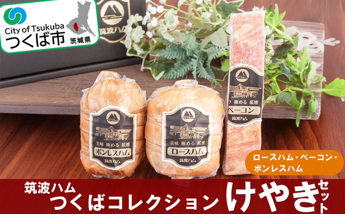 筑波ハム つくばコレクション けやきセット（ ボンレスハム ベーコン ロースハム ）【 豚肉 豚 ぶた肉 ポーク ハム はむ ロースハム ベーコン ボンレスハム 茨城県産 国産 つくば市 詰め合わせ お中元 お歳暮 】