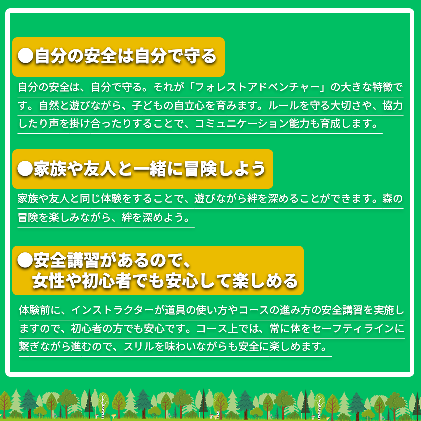 フォレストアドベンチャー ・ つくば ＜アドベンチャーコース＞ 4名様 体験チケット【 つくば市 茨城県 筑波山 レジャー アウトドア 自然体験 ジップ 体験型 】