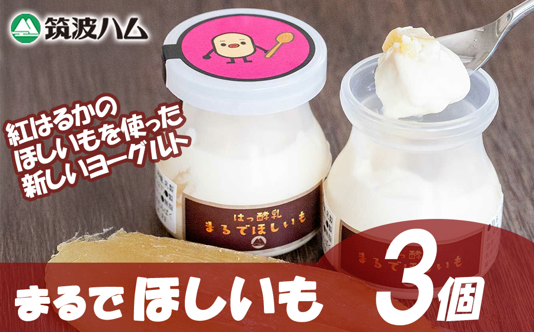 【 筑波ハム 】まるでほしいも × 3個セット1箱【 茨城県 つくば市 ヨーグルト 干し芋 ほしいも ほし芋 紅はるか さつまいも いも 健康 】