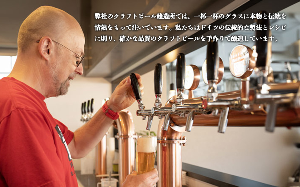 Twin Peaks Mountain Brewingのクラフトビールおまかせ 12本セット【 つくば市 ふるさと納税 クラフトビール ビール お酒 酒 麦酒 地ビール ドイツ ドイツビール 飲み比べ 】