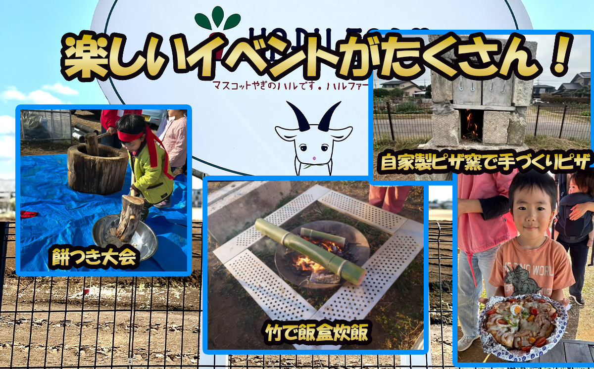 【専用スマホアプリがサポート！】ハルファームの市民農園利用券　(10㎡ 3ヵ月分) 【 茨城県 つくば市 農園 貸農園 貸し農園 農業体験 農業 野菜収穫 体験 野菜体験 チケット 旬野菜 採れたて野菜 】