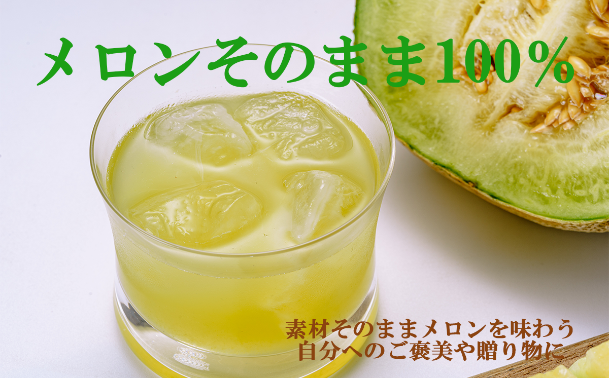 ＜ ベルファームつくば ＞ 搾りたて メロンジュース 100% 100g × 15パック ＜離島・沖縄配送不可＞【 メロンジュース メロン ジュース 100％ 搾りたて めろん フルーツジュース フルーツ 果物 茨城県 つくば市 】
