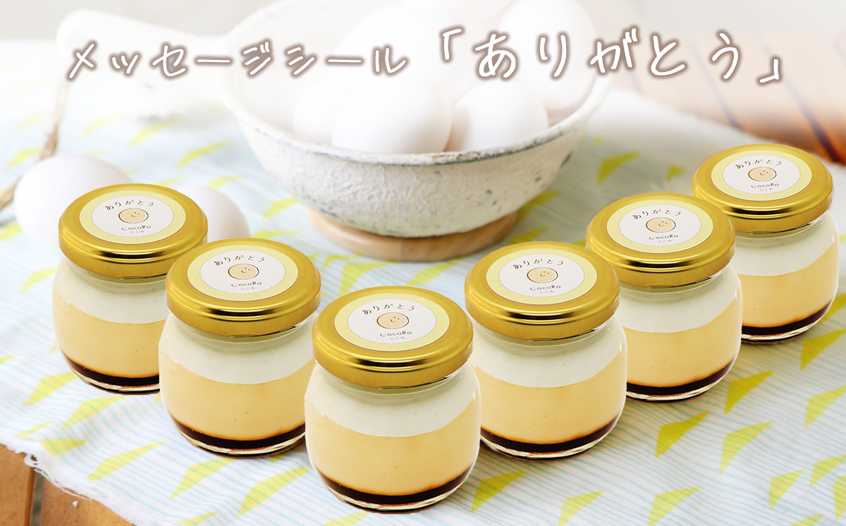 CocoRoプリン 6個セット（ ギフト包装 ＋ メッセージシール「ありがとう」 ）【 茨城県 つくば市 プリン スイーツ 生クリーム カスタードクリーム バニラ 牛乳 卵 国産 甘味 お菓子 デザート ギフト 】