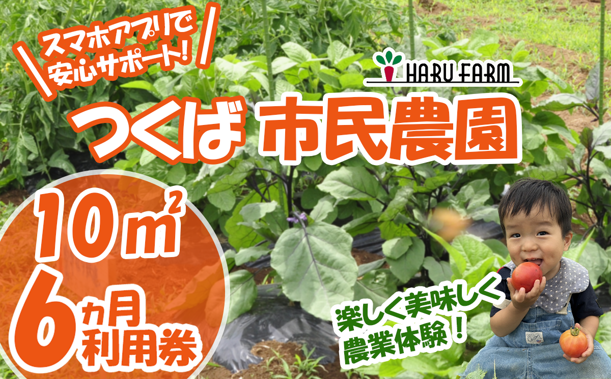 【専用スマホアプリがサポート！】ハルファームの市民農園利用券　(10㎡ 6ヵ月分) 【 茨城県 つくば市 農園 貸農園 貸し農園 農業体験 農業 野菜収穫 体験 野菜体験 チケット 旬野菜 採れたて野菜 】