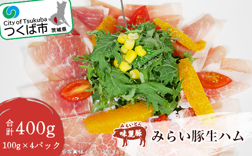 みらい豚 生ハム 400g ＜ 100g × 4パック ＞村下商事【 豚肉 豚 ぶた肉 ポーク 冷凍 茨城県 つくば市 】