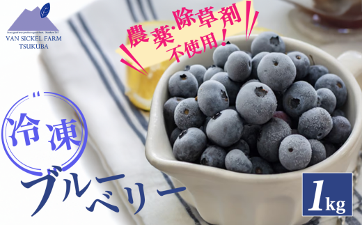 茨城県つくば市産 冷凍ブルーベリー　1kg【ブルーベリー 国産 ベリー スイーツ トッピング 栄養 ジャム 果実 果物 パンケーキ】