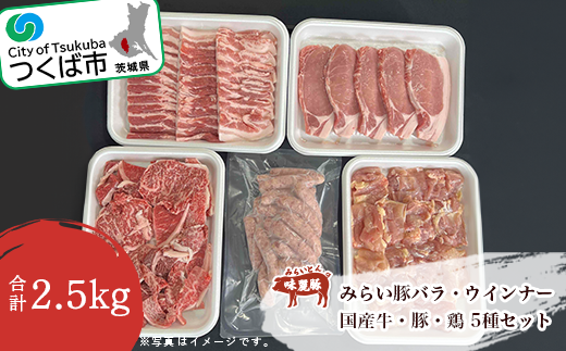 バラエティパック 2.5kg ( 牛 ・ 豚 ・ 鶏 ・ ウインナー ) 村下商事【 茨城県 つくば市 BBQ 牛肉 豚肉 鶏肉 ウインナー バラエティ 焼肉 焼き肉 バーベキュー ロース バラ 切り落とし 小分け 詰め合わせ 】