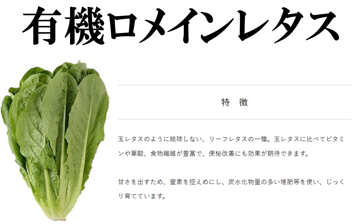 縲 3繝オ譛亥ョ壽悄萓ソ 縲代☆縺」縺エ繧捺怏讖溘d縺輔>繧サ繝繝 ( 蟆乗收闖 繝サ 豌エ闖 繝サ 繝ュ繝。繧、繝ウ繝ャ繧ソ繧ケ )縲 闌ィ蝓守恁 縺、縺上ー蟶 螳壽悄 螳壽悄萓ソ 蟆乗收闖 繝ュ繝。繧、繝ウ繝ャ繧ソ繧ケ 豌エ闖 骰 骰九b縺ョ 驥手除 繧縺輔> 繝吶ず繧ソ繝悶Ν 譛画ゥ滄手除 譛画ゥ滓ス蝓ケ 辟。霎イ阮ャ 譛画ゥ溯セイ讌ュ 繧ェ繝シ繧ャ繝九ャ繧ッ 閾ェ辟カ 蟶悟ー 3蝗 隧ー繧∝粋繧上○ 縲