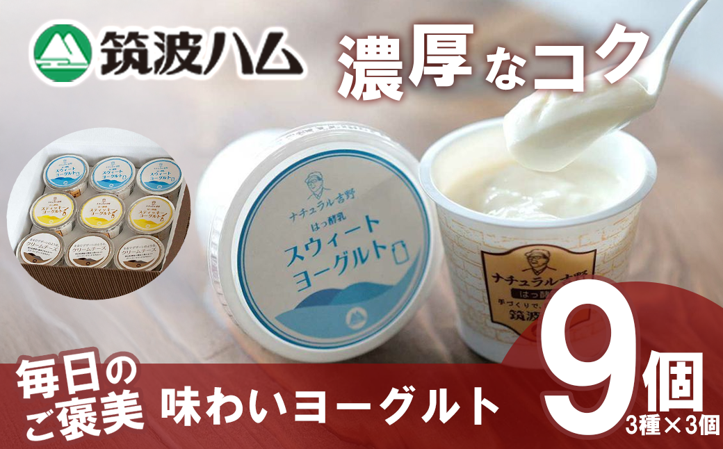 【 筑波ハム 】 毎日のご褒美 味わいヨーグルト ギフトセット【 筑波ハム ヨーグルト クリームチーズ チーズ ご褒美 乳 腸活 美容 健康 ギフト 贈答 茨城県産 国産 つくば市 】