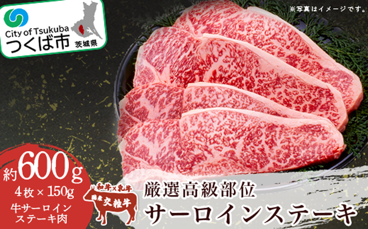 厳選高級部位 サーロインステーキ 4枚入り ( 約600g )【 サーロインステーキ 贅沢 牛肉 牛 国産 ステーキ 高級 国産牛 サーロイン 鉄板焼き 茨城県 つくば市 】