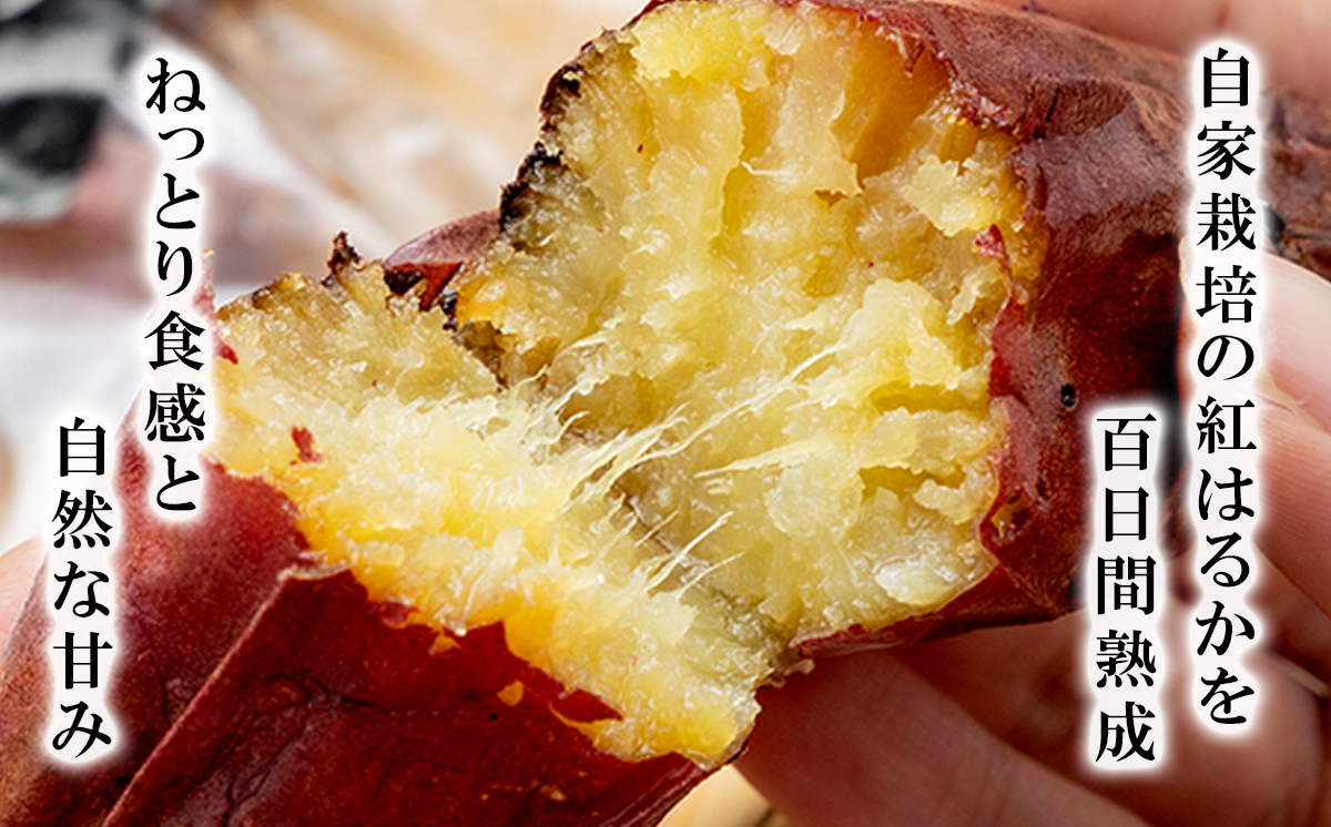 【先行予約】冷凍 超熟焼きいも 約900g