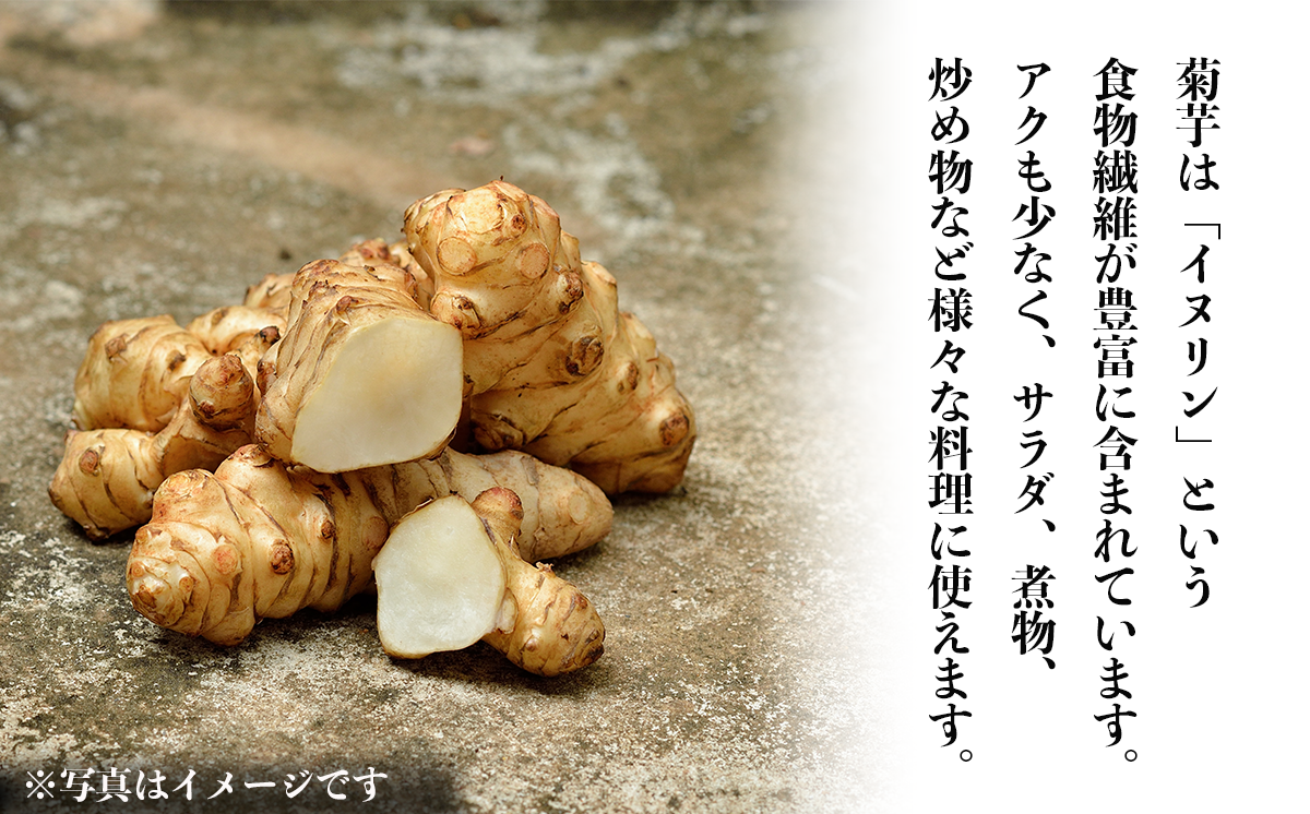 先行予約 2027年1月発送開始 農薬・肥料不使用 自然栽培の菊芋 5kg │ 菊芋 ブタイモ カライモ 芋 数量 限定 茨城県 つくば市