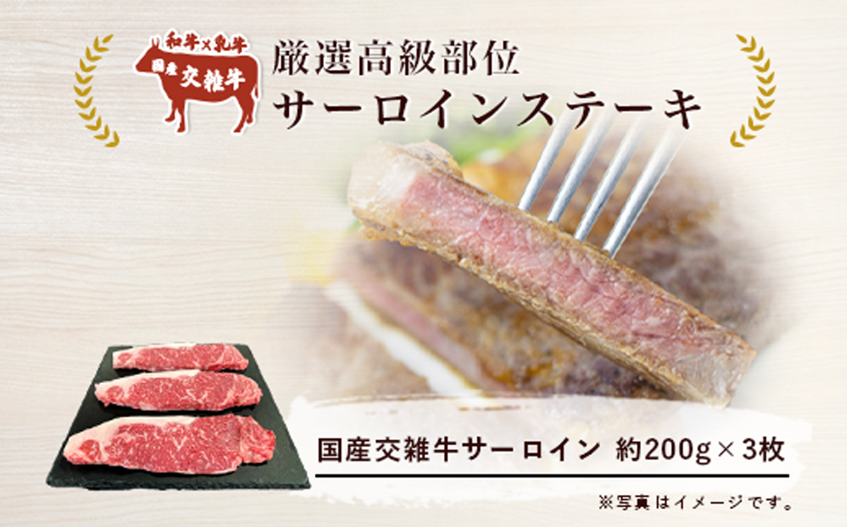 プロの目利きが選んだ厳選高級部位 サーロインステーキ 3枚入り ( 約600g )【 サーロインステーキ 牛肉 牛 国産 贅沢 ステーキ 高級 国産牛 サーロイン 鉄板焼き 茨城県 つくば市 】