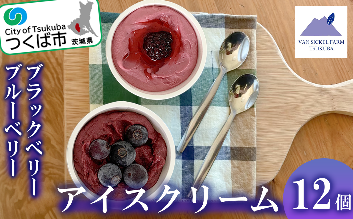 【 茨城県 つくば市産 ブルーベリー 使用 】 フローズンヨーグルトアイスセット（ 12個 ）【 ブルーベリー 国産 ベリー スイーツ アイス ジェラート ヨーグルト 果物 】