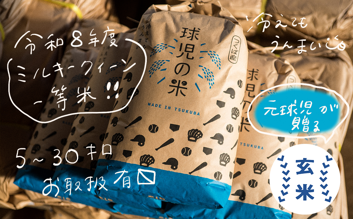 令和8年産 一等米 球児の米 （ ミルキークイーン玄米 ） 10kg | 米 こめ コメ お米 ご飯 5kg 10kg 20kg 30kg 玄米 ミルキークイーン おすすめ 茨城県 つくば市