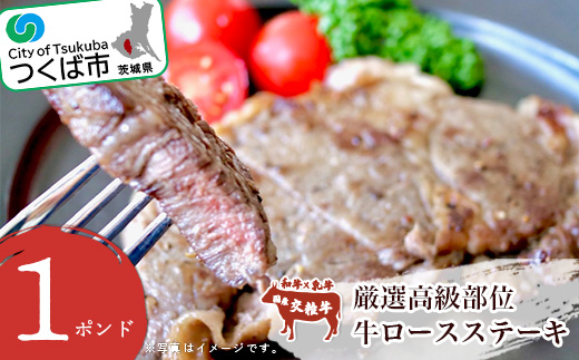 厳選高級部位 牛ロース 1ポンド ステーキ【 牛肉 国産 リブロース 冷凍 茨城県 つくば市 】