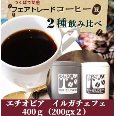 ＜のし付き＞つくばで焙煎 コーヒー豆 エチオピア イルガチェフェ 200g×2種 飲み比べ 缶入り【 コーヒー 豆 ブレンド オリジナル 直火式焙煎 自家焙煎 中煎り 中深煎り 有機栽培 フェアトレード エチオピア イルガチェフェ スペシャリティコーヒー のし 熨斗 ギフト 贈答 定番 飲み比べ 缶入り セット 人気 おすすめ 茨城県 つくば市 】