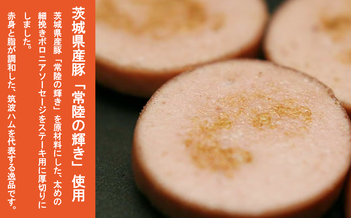 【筑波ハム】炭火で仕上げる ポークソーセージステーキ 120g×4パック ＜離島・沖縄配送不可＞【 豚肉 豚 ぶた肉 茨城県 つくば市 ポーク 酒のつまみ 】
