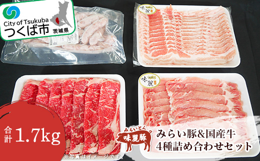 ã¿ããè± ããŒã¹ã¹ã©ã€ã¹ ã» ãã©èåã ã» ãã¯ã€ããŠã€ã³ã㌠åœç£çããŒã¹çè±è©°åãã è±è è± ã¶ãè çè ç è©°åã è±èã»ãã ãã©ã³ãè± éæè± ããŒã¯ å·å èšåç ã€ãã°åž å°åã è©°ãåãã ã