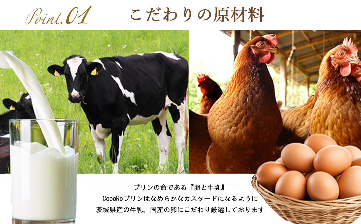 CocoRoプリン 3個セット（ ギフト包装 ＋ メッセージシール「お世話になりました」 ）【 茨城県 つくば市 プリン スイーツ 生クリーム カスタードクリーム バニラ 牛乳 卵 国産 甘味 お菓子 デザート ギフト 8000 】