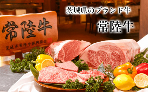 ひたち野スタイル お食事券 ( 山毛欅コース ) 2名分お食事券 レストランにてご提供【 牛肉 牛 黒毛和牛 ブランド牛 茨城県産 国産  茨城県 つくば市 】