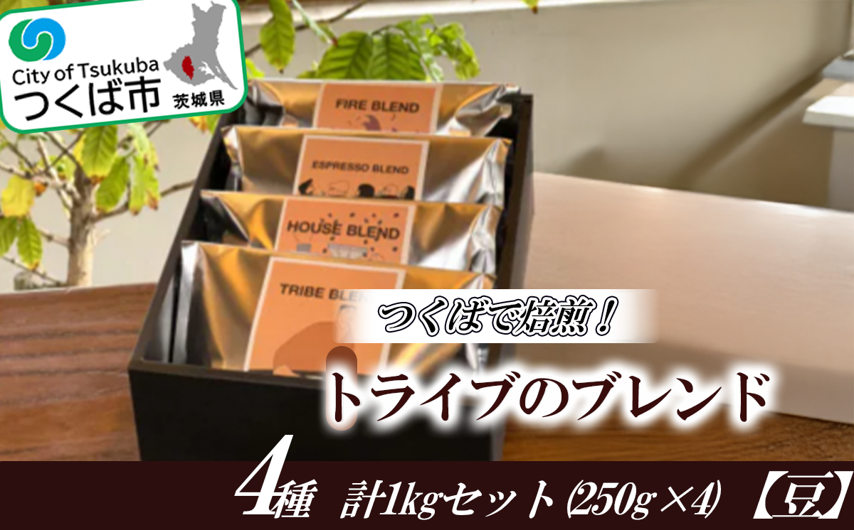 つくばで焙煎！トライブのブレンド4種 計1kgセット(250g×4)[豆]