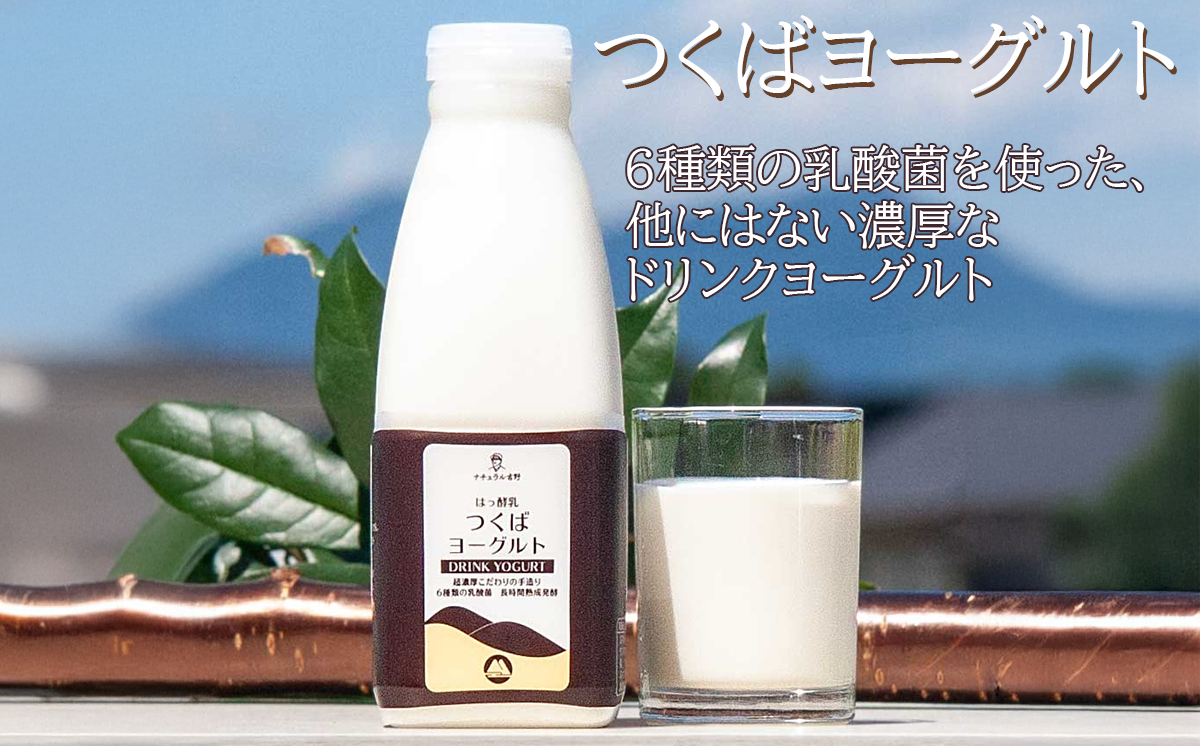 çæ³¢ãã ã€ãã°ã³ã¬ã¯ã·ã§ã³ ããã¿ã»ããïŒ ã€ãã°ãšãŒã°ã«ã ã¯ãªãŒã ããŒãº ïŒã ããŒãº ã¯ãªãŒã ããŒãº ãšãŒã°ã«ã ããªã³ã¯ãšãŒã°ã«ã èšåçç£ åœç£ ã€ãã°åž è©°ãåãã ãäžå
ãæ³æ® ã