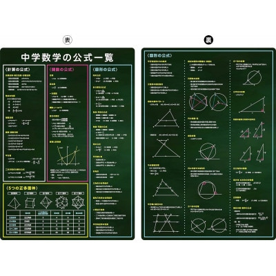 受験教材下敷き 5枚セット【 下敷き 文房具 教材 ツール 高校受験 暗記 記憶 視覚 勉強 学習 受験 テスト 試験 隙間時間 中学生 理科 国語 数学 歴史 英語 5教科 セット フライング・エッグ 人気 おすすめ 】