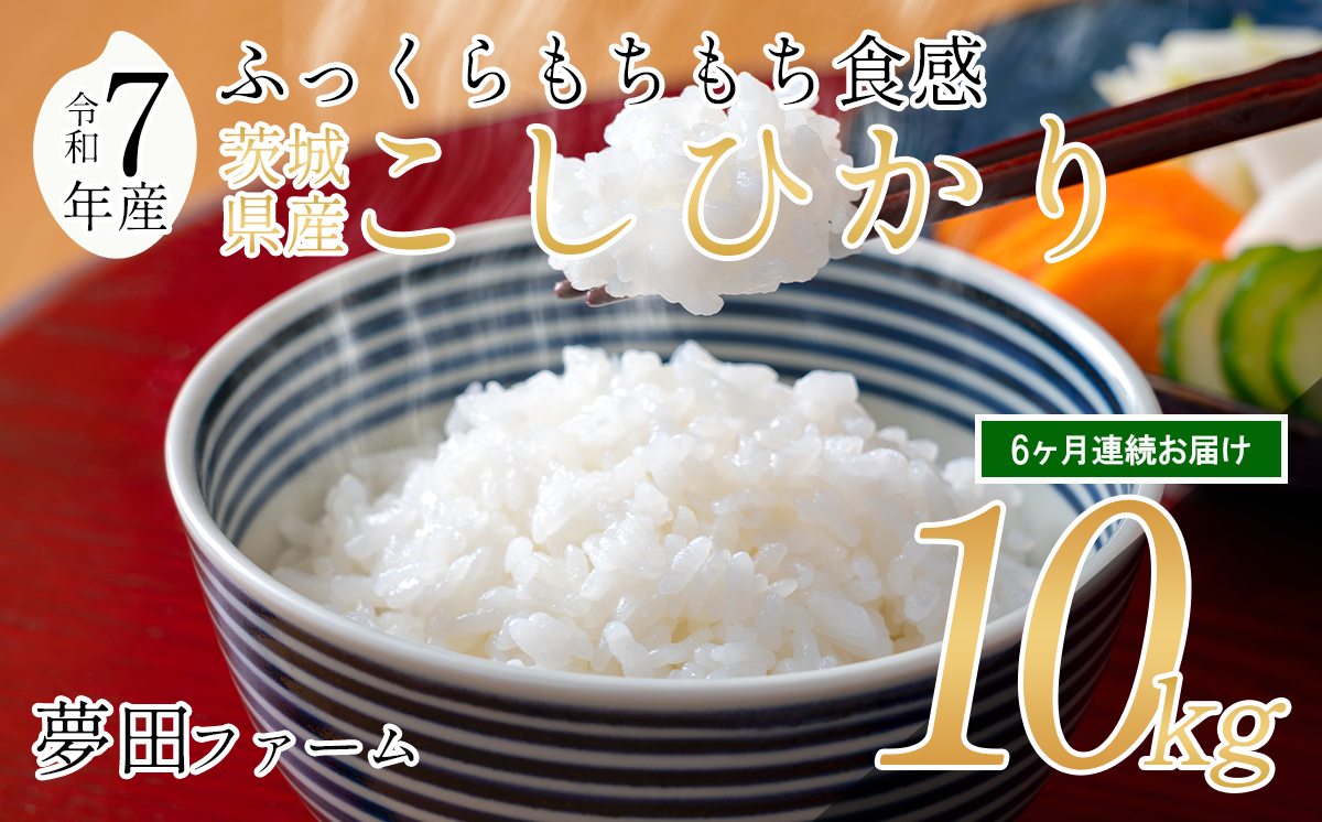 【 6ヵ月 定期便 】 令和7年産 コシヒカリ 10kg