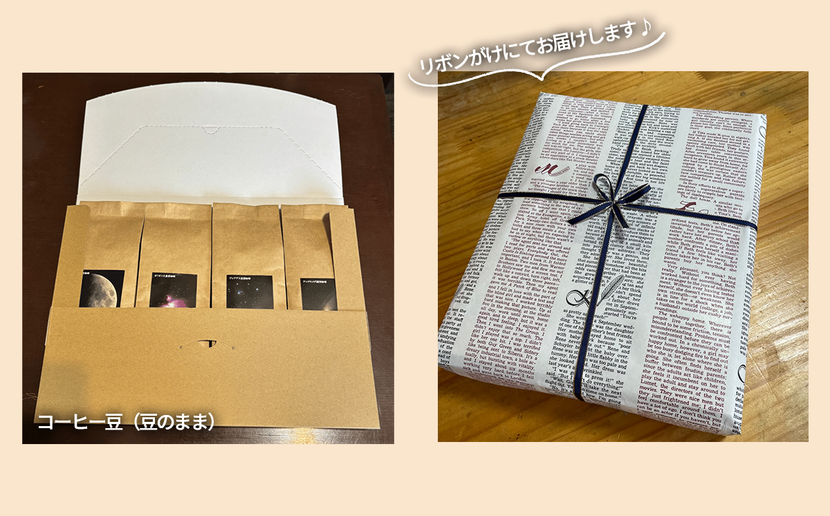 もっくん珈琲のコーヒー豆『KEK素粒子珈琲』(豆のまま)　100g×4種 計400g　【 コーヒー 珈琲 粉 コーヒー豆 自家焙煎 スペシャルティコーヒー ギフト 茨城県 つくば市 】