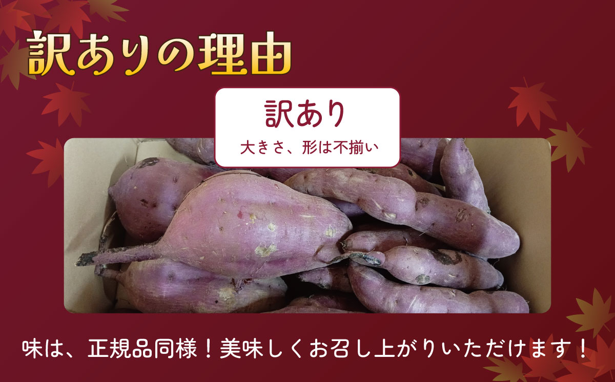 èšåçç£ çæãã€ãŸãã ( çŽ
ã¯ãã ) SSã3Lãµã€ãºèš³ã¢ãª7kg ( ç®±å
¥ã )ã çŽ
ã¯ãã ãã€ãŸãã ãµããã€ã¢ ãã〠ã¹ã€ãŒã çå³ ãã¶ãŒã èš³ã¢ãª èš³ãã 10000å èšåç ã€ãã°åž ã