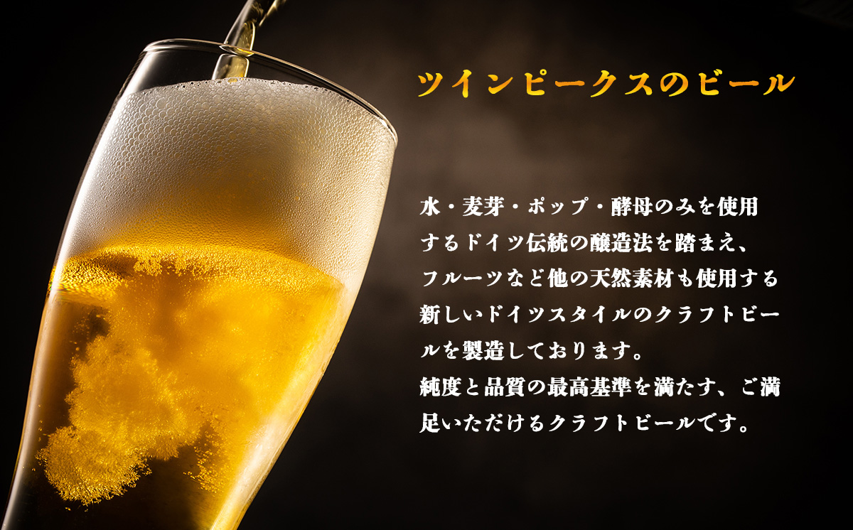 Twin Peaks Mountain Brewingのクラフトビールおまかせ 12本セット【 つくば市 ふるさと納税 クラフトビール ビール お酒 酒 麦酒 地ビール ドイツ ドイツビール 飲み比べ 】