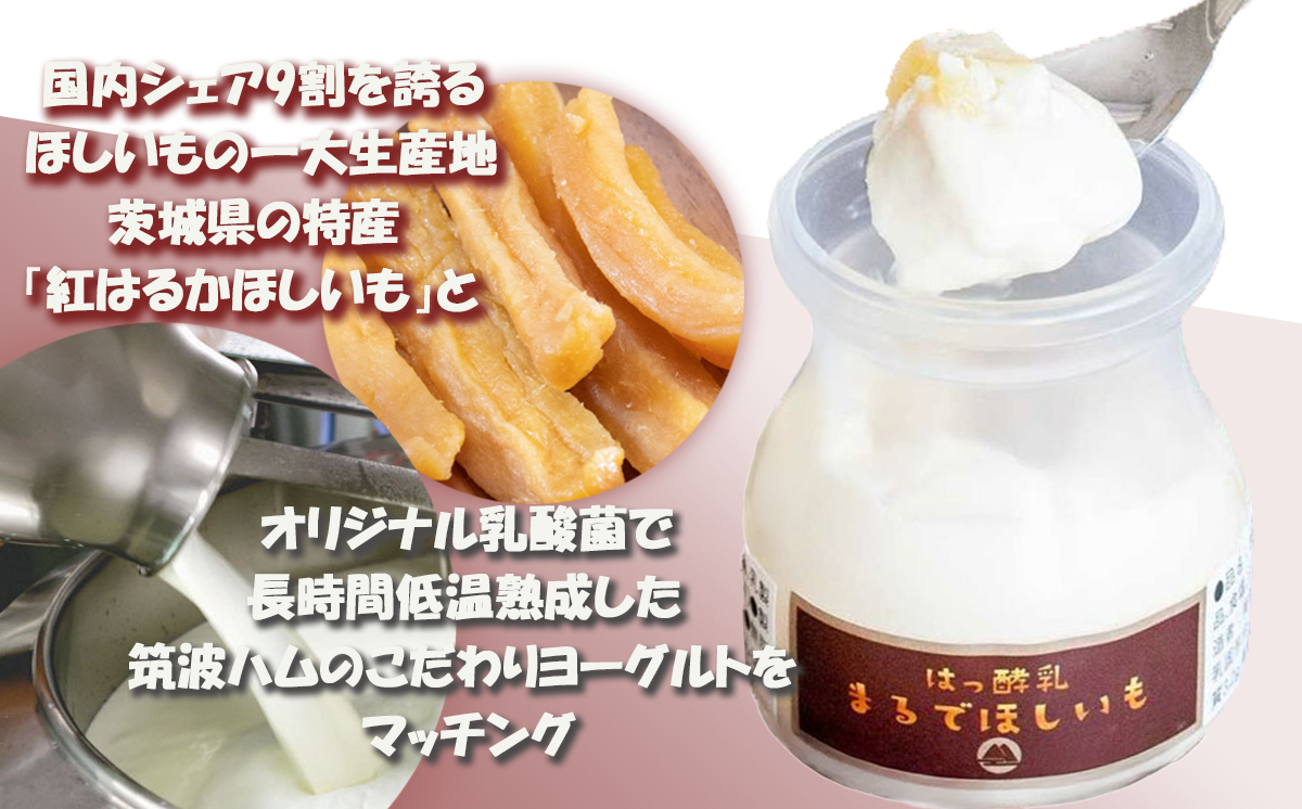 【 筑波ハム 】まるでほしいも × 3個セット1箱【 茨城県 つくば市 ヨーグルト 干し芋 ほしいも ほし芋 紅はるか さつまいも いも 健康 】