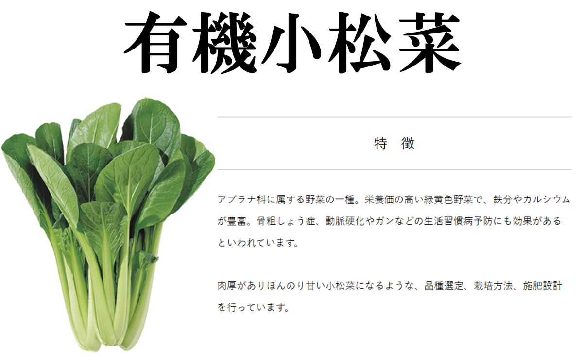 縲 3繝オ譛亥ョ壽悄萓ソ 縲代☆縺」縺エ繧捺怏讖溘d縺輔>繧サ繝繝 ( 蟆乗收闖 繝サ 豌エ闖 繝サ 繝ュ繝。繧、繝ウ繝ャ繧ソ繧ケ )縲 闌ィ蝓守恁 縺、縺上ー蟶 螳壽悄 螳壽悄萓ソ 蟆乗收闖 繝ュ繝。繧、繝ウ繝ャ繧ソ繧ケ 豌エ闖 骰 骰九b縺ョ 驥手除 繧縺輔> 繝吶ず繧ソ繝悶Ν 譛画ゥ滄手除 譛画ゥ滓ス蝓ケ 辟。霎イ阮ャ 譛画ゥ溯セイ讌ュ 繧ェ繝シ繧ャ繝九ャ繧ッ 閾ェ辟カ 蟶悟ー 3蝗 隧ー繧∝粋繧上○ 縲