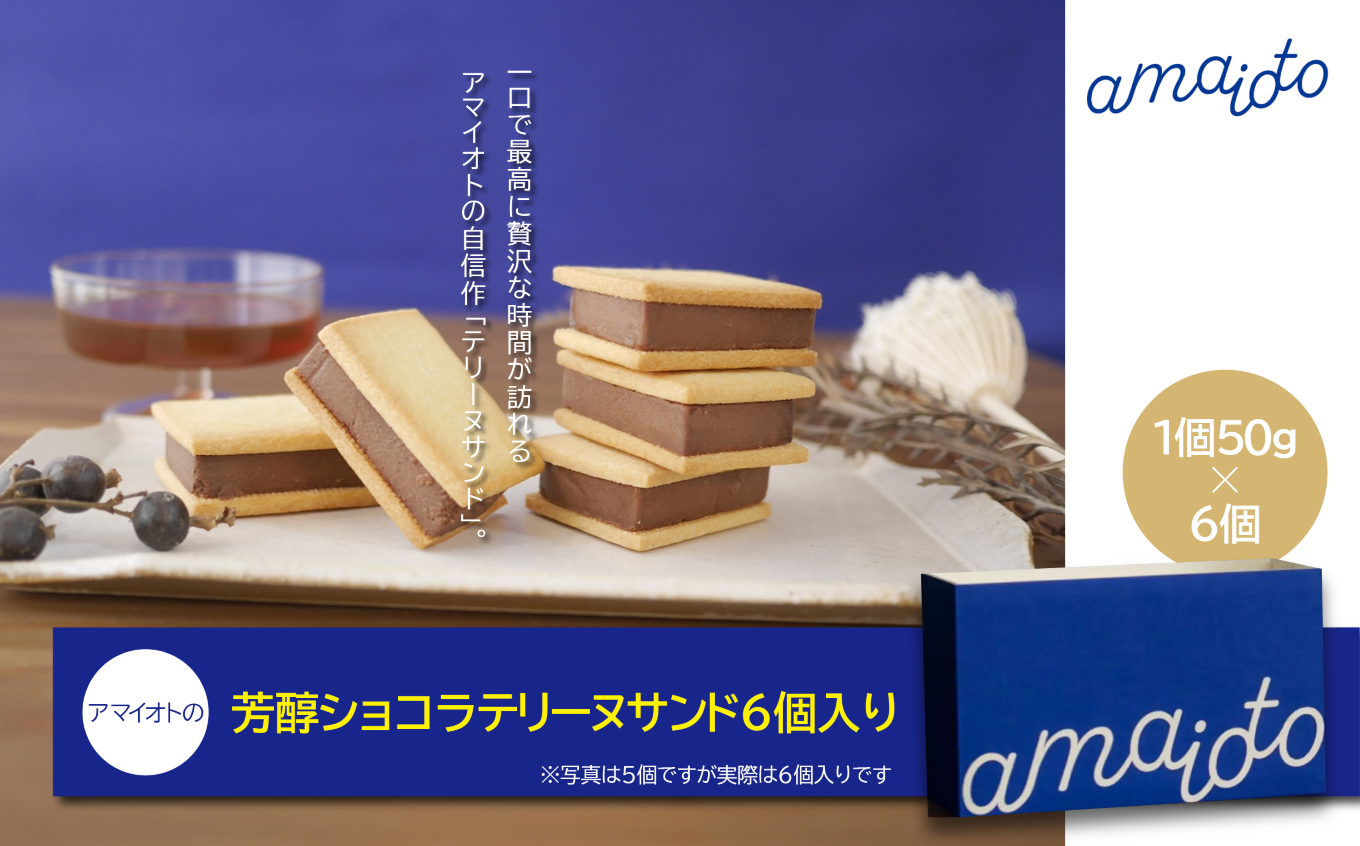 アマイオトの「芳醇ショコラテリーヌサンド6個」【 テリーヌ テリーヌサンド ショコラ チョコ チョコレート 焼き菓子 スイーツ サクサク しっとり バレンタイン ホワイトデー ご褒美 デザート お取り寄せ 茨城県 つくば市 】