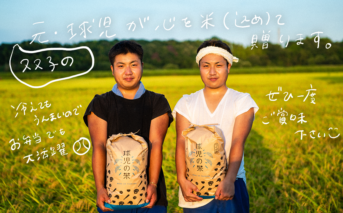 令和7年産 一等米 球児の米 （ ミルキークイーン玄米 ） 10kg | 米 こめ コメ お米 ご飯 5kg 10kg 20kg 30kg 玄米 ミルキークイーン おすすめ 茨城県 つくば市