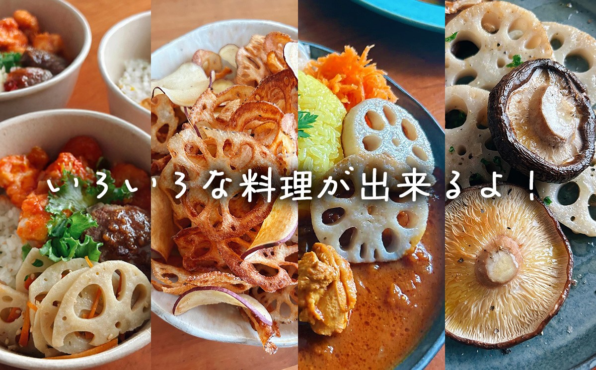 4kg 筑波山の麓で採れたサンロクレンコン 朝採れをすぐに発送