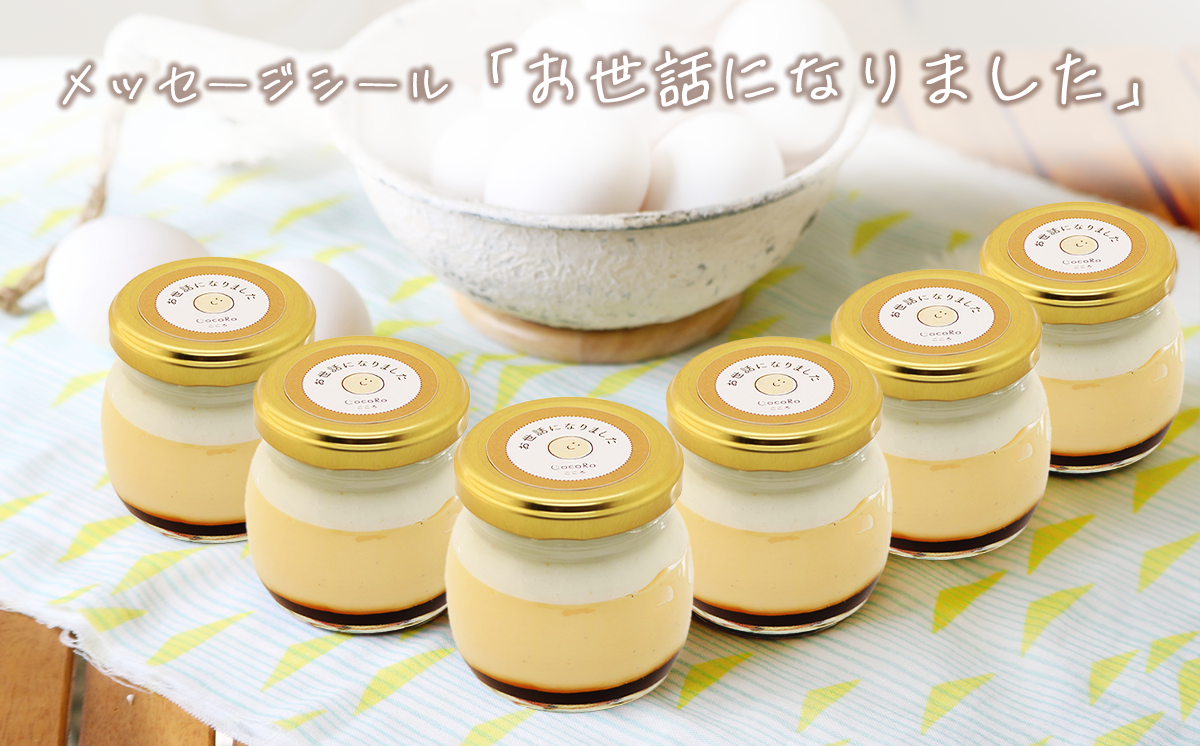 CocoRoプリン 6個セット（ ギフト包装 ＋ メッセージシール「お世話になりました」 ）【 茨城県 つくば市 プリン スイーツ 生クリーム カスタードクリーム バニラ 牛乳 卵 国産 甘味 お菓子 デザート ギフト 】