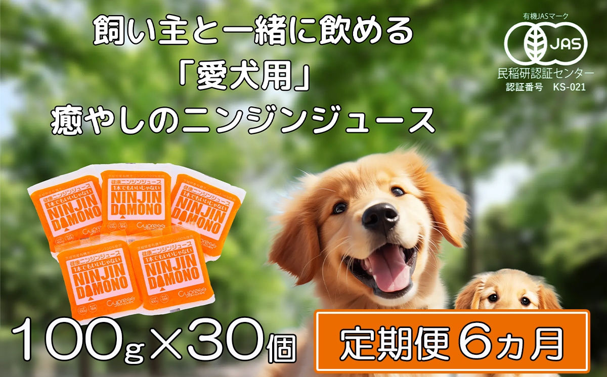 【6ヵ月定期便】飼い主と一緒に飲める「愛犬用」癒やしのニンジンジュース 100g×30個【 犬 ニンジンジュース にんじん 人参 人参ジュース にんじんジュース 水分補給 犬 にんじん 人参 人参ジュース にんじんジュース キャロットジュース 愛犬 ペット ペットフード ドッグフード つくば市 ふるさと納税 】