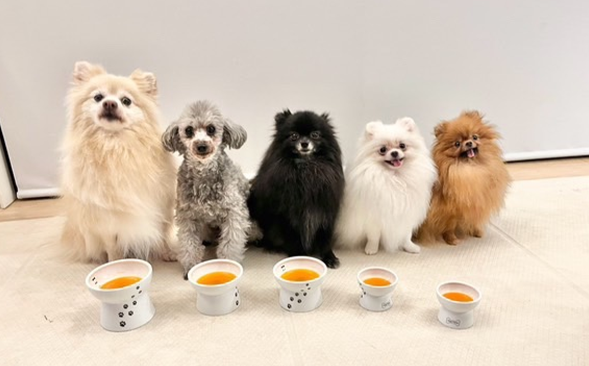 【6ヵ月定期便】飼い主と一緒に飲める「愛犬用」癒やしのニンジンジュース 100g×15個【 犬 ニンジンジュース にんじん 人参 人参ジュース にんじんジュース 水分補給 犬 にんじん 人参 人参ジュース にんじんジュース キャロットジュース 愛犬 ペット ペットフード ドッグフード つくば市 ふるさと納税 】